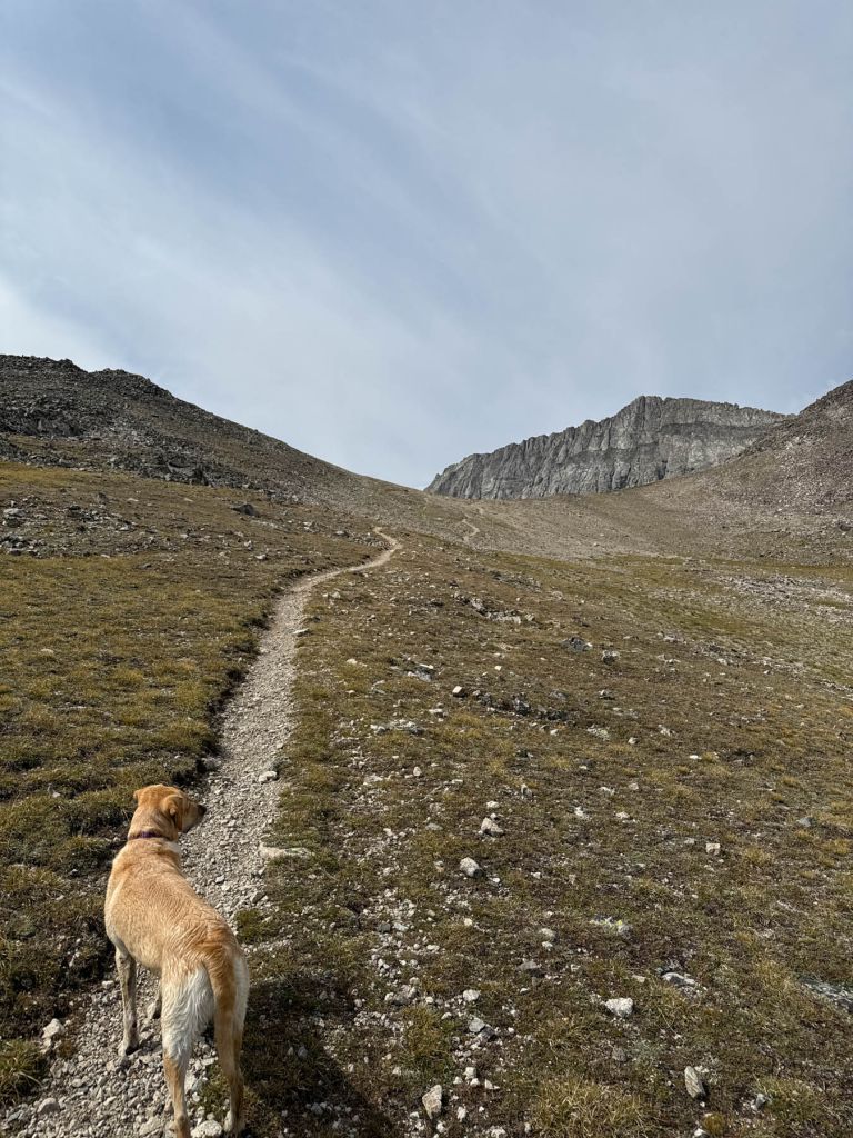 Home Page Difficult Betty Lake